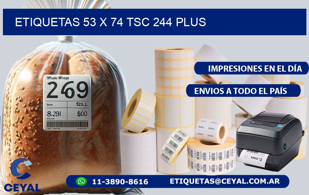 ETIQUETAS 53 x 74 TSC 244 PLUS