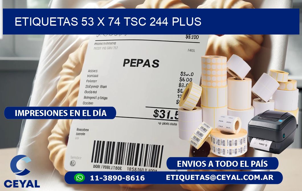 ETIQUETAS 53 x 74 TSC 244 PLUS