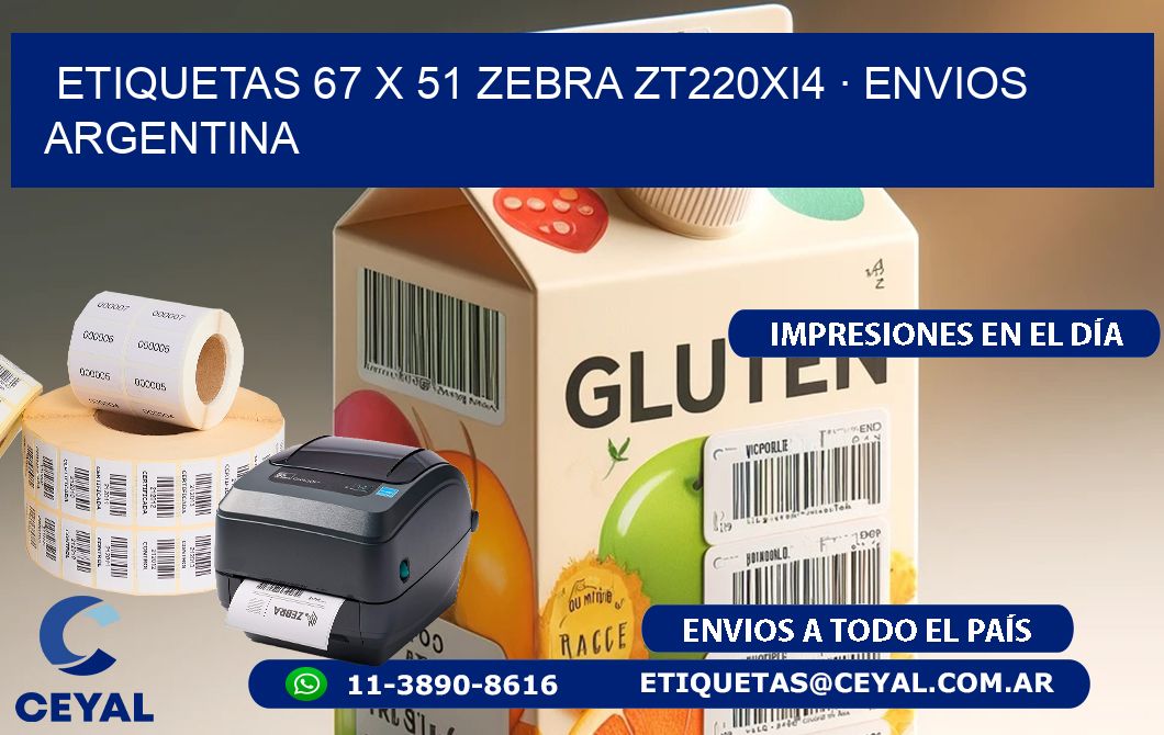 ETIQUETAS 67 x 51 ZEBRA ZT220Xi4 · ENVIOS ARGENTINA
