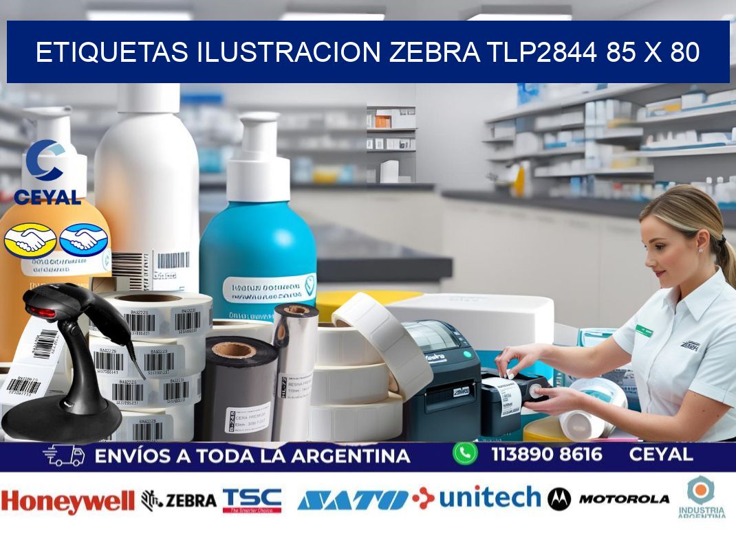 ETIQUETAS ILUSTRACION ZEBRA TLP2844 85 x 80