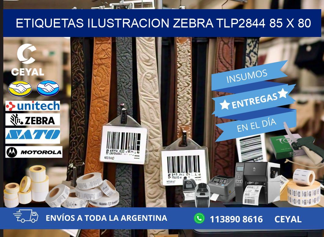 ETIQUETAS ILUSTRACION ZEBRA TLP2844 85 x 80