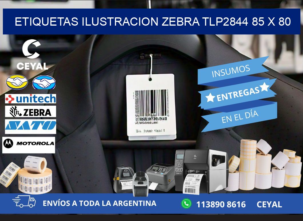 ETIQUETAS ILUSTRACION ZEBRA TLP2844 85 x 80