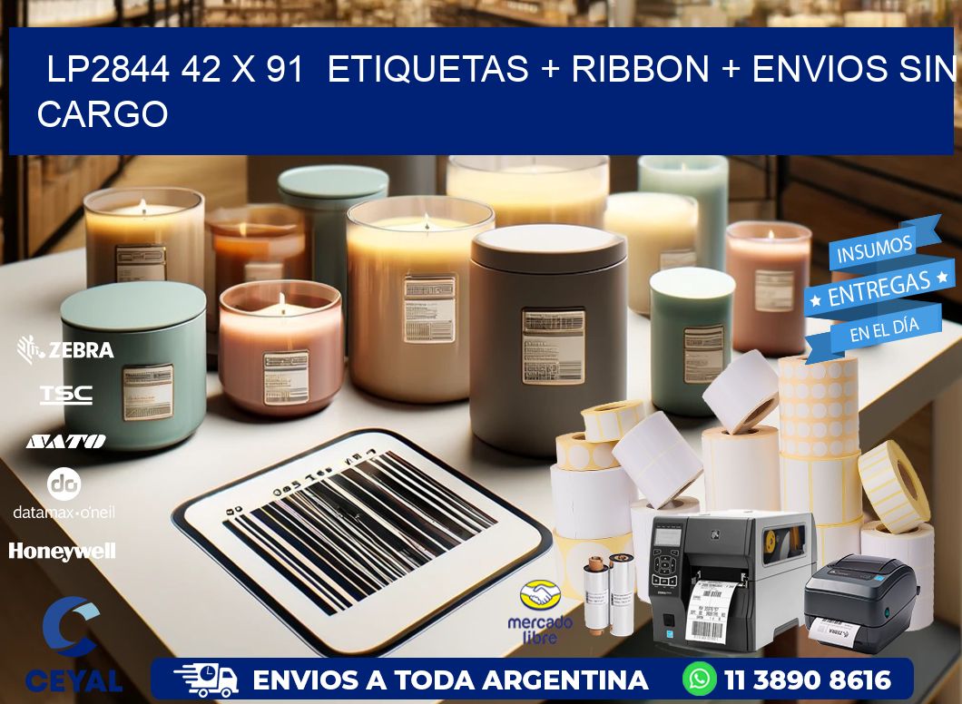 LP2844 42 x 91 etiquetas + ribbon + envios sin cargo