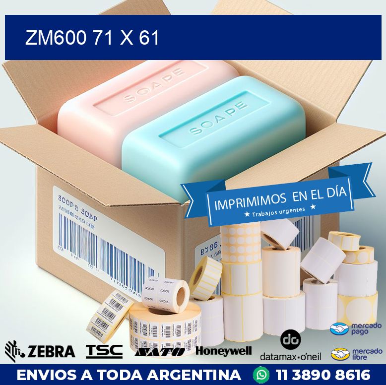 ZM600 71 x 61