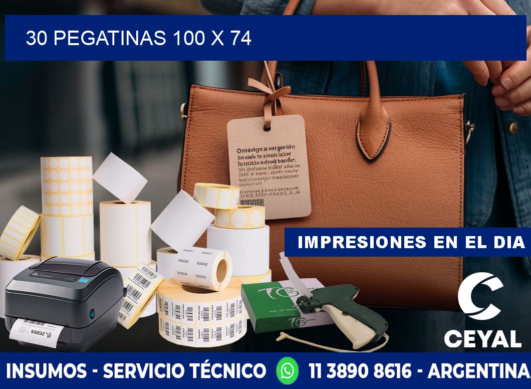 30 PEGATINAS 100 x 74