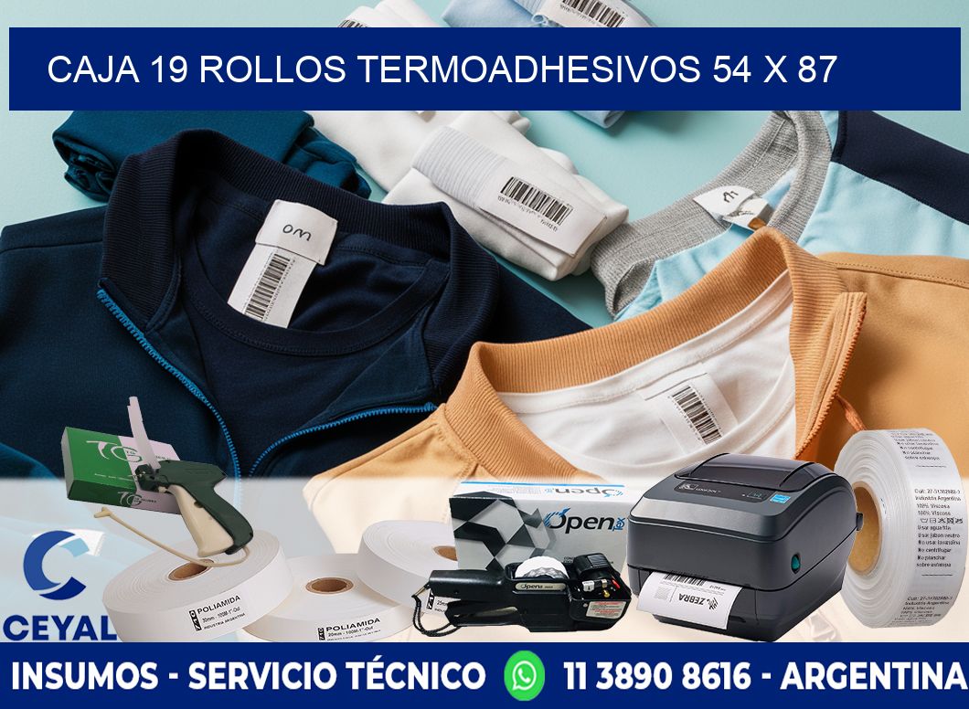 CAJA 19 ROLLOS TERMOADHESIVOS 54 x 87