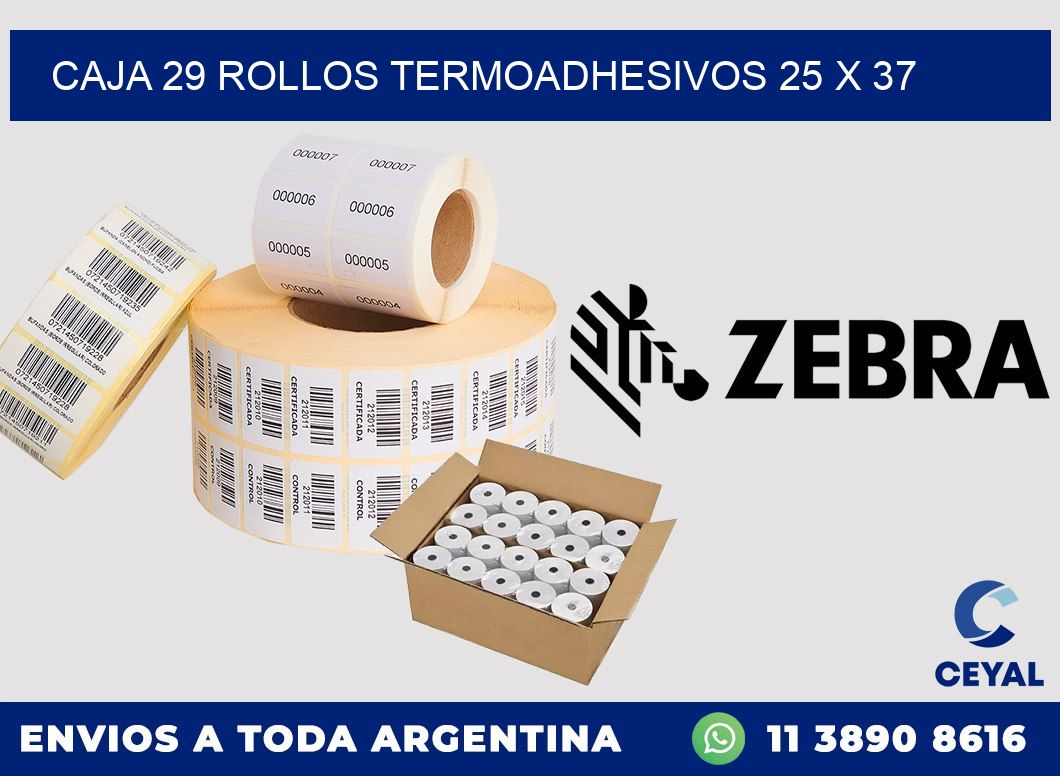 CAJA 29 ROLLOS TERMOADHESIVOS 25 x 37