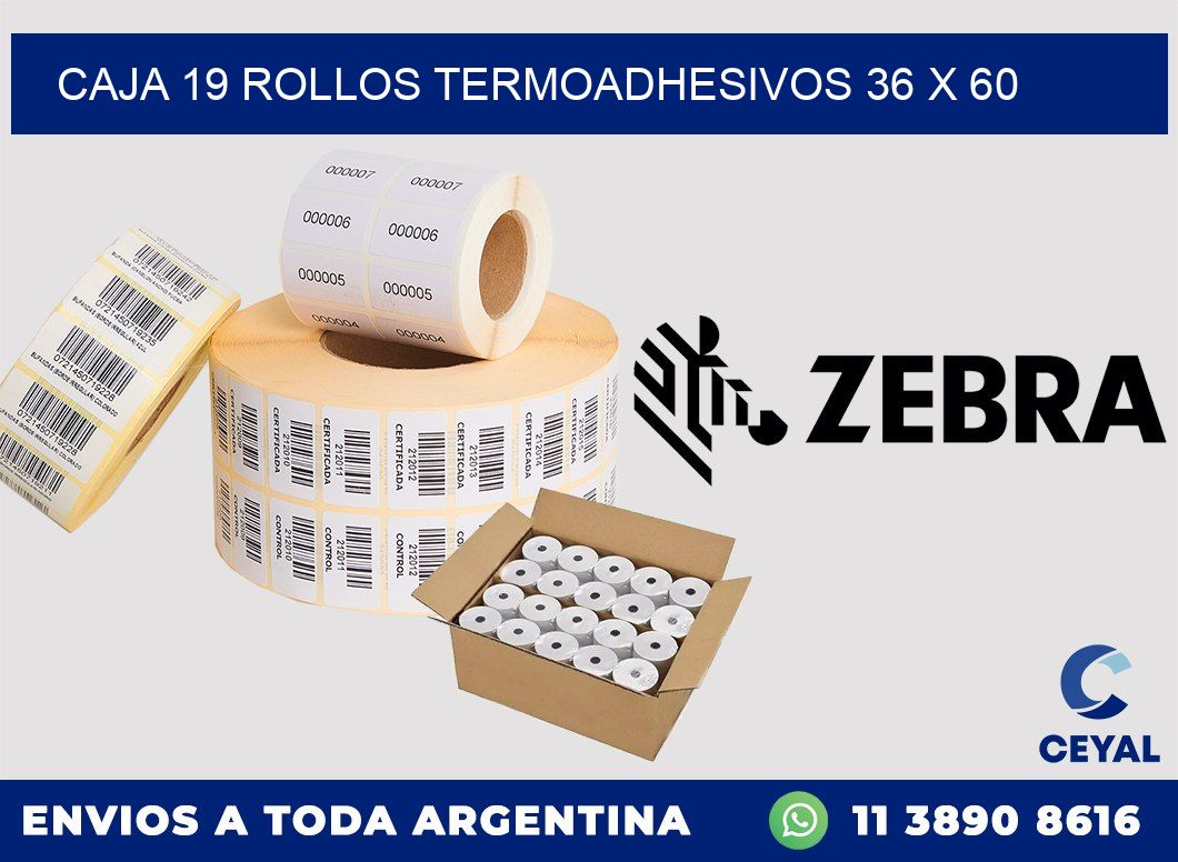 CAJA 19 ROLLOS TERMOADHESIVOS 36 x 60