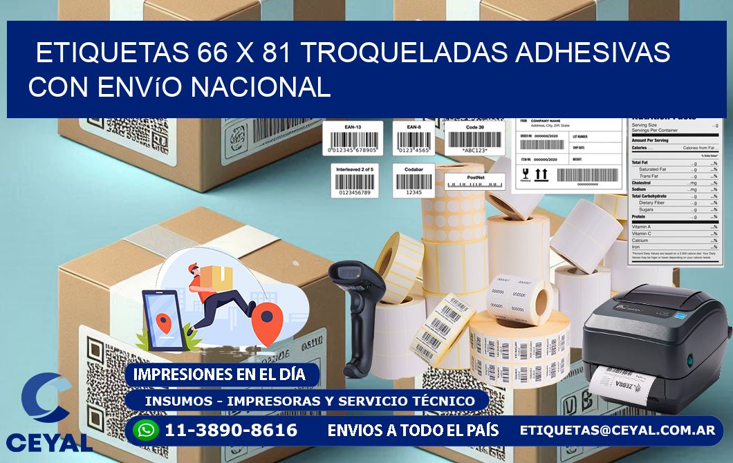 Etiquetas 66 x 81 troqueladas adhesivas con envío nacional