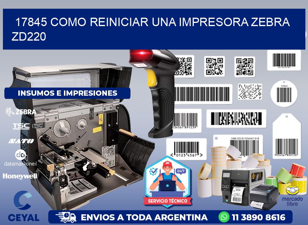 17845 Como reiniciar una impresora Zebra  ZD220