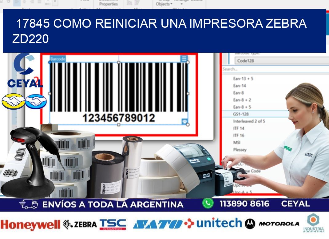 17845 Como reiniciar una impresora Zebra  ZD220