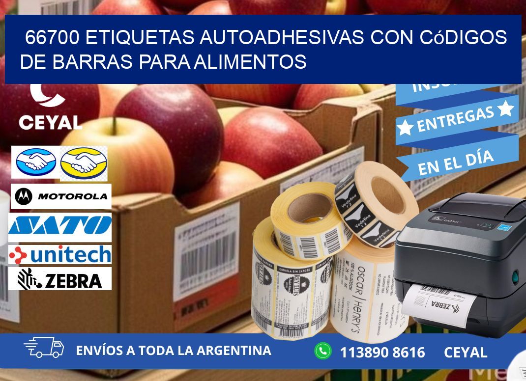 66700 Etiquetas autoadhesivas con códigos de barras para alimentos