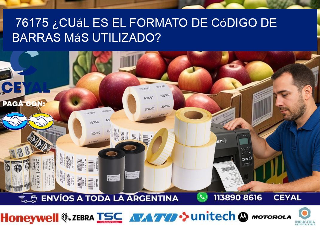 76175 ¿Cuál es el formato de código de barras más utilizado?