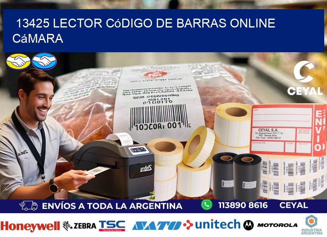 13425 Lector código de barras online cámara