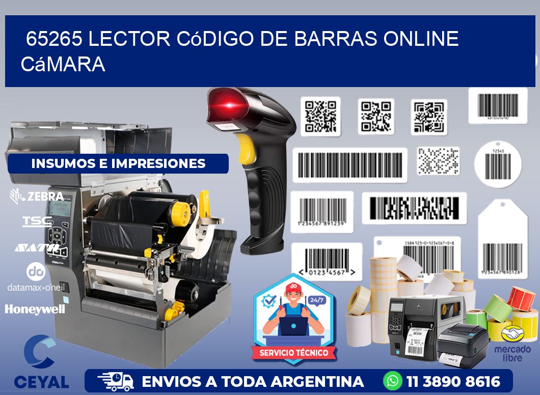 65265 Lector código de barras online cámara