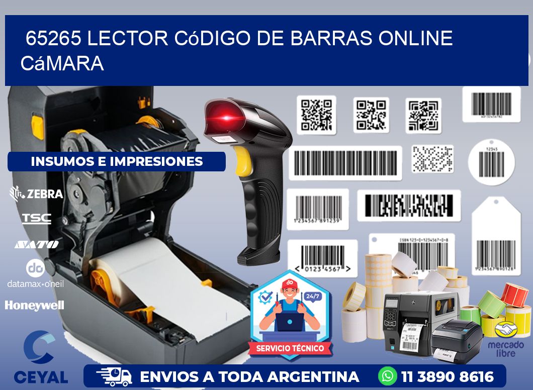 65265 Lector código de barras online cámara
