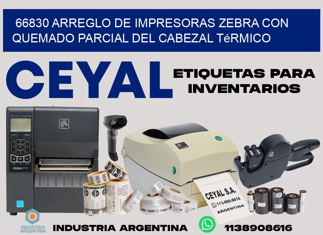 66830 arreglo de impresoras zebra con quemado parcial del cabezal térmico