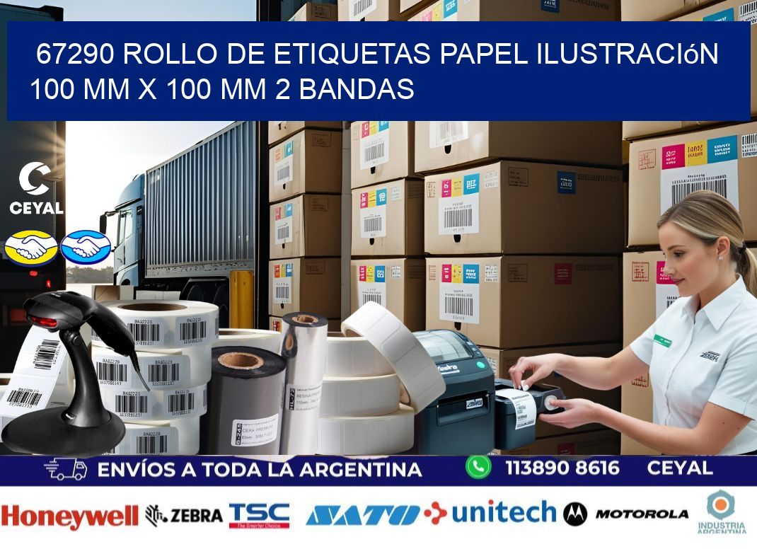 67290 Rollo de Etiquetas Papel Ilustración 100 mm x 100 mm 2 Bandas