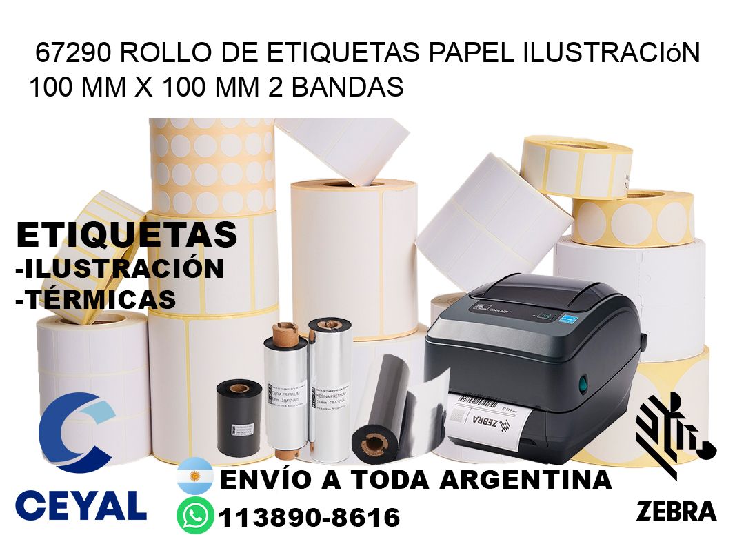 67290 Rollo de Etiquetas Papel Ilustración 100 mm x 100 mm 2 Bandas