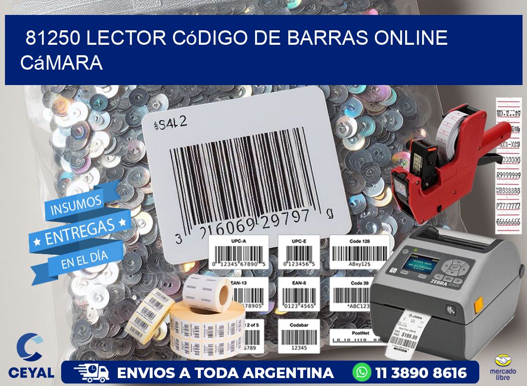 81250 Lector código de barras online cámara