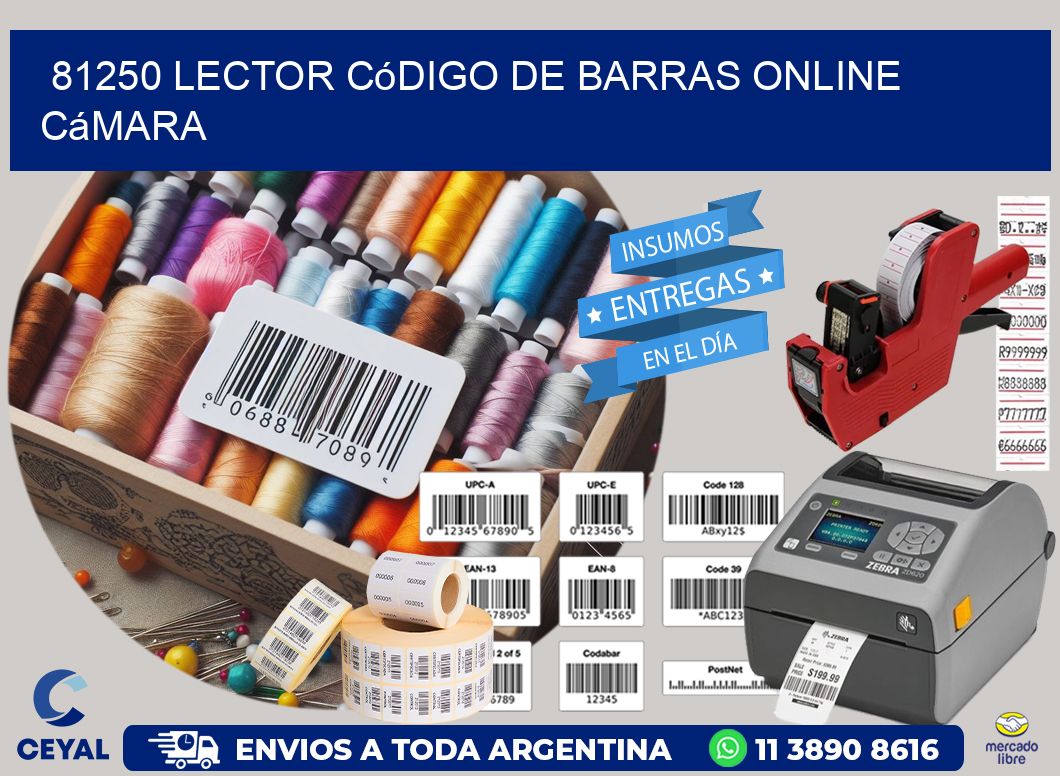 81250 Lector código de barras online cámara