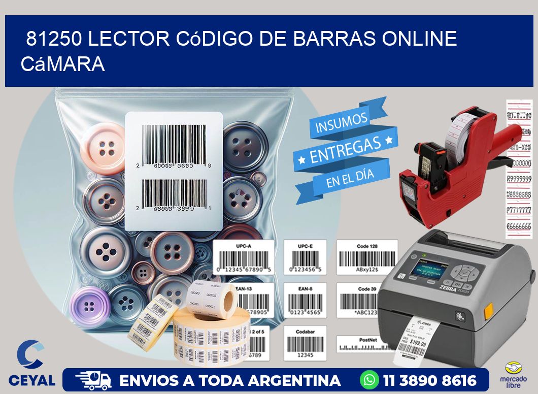 81250 Lector código de barras online cámara
