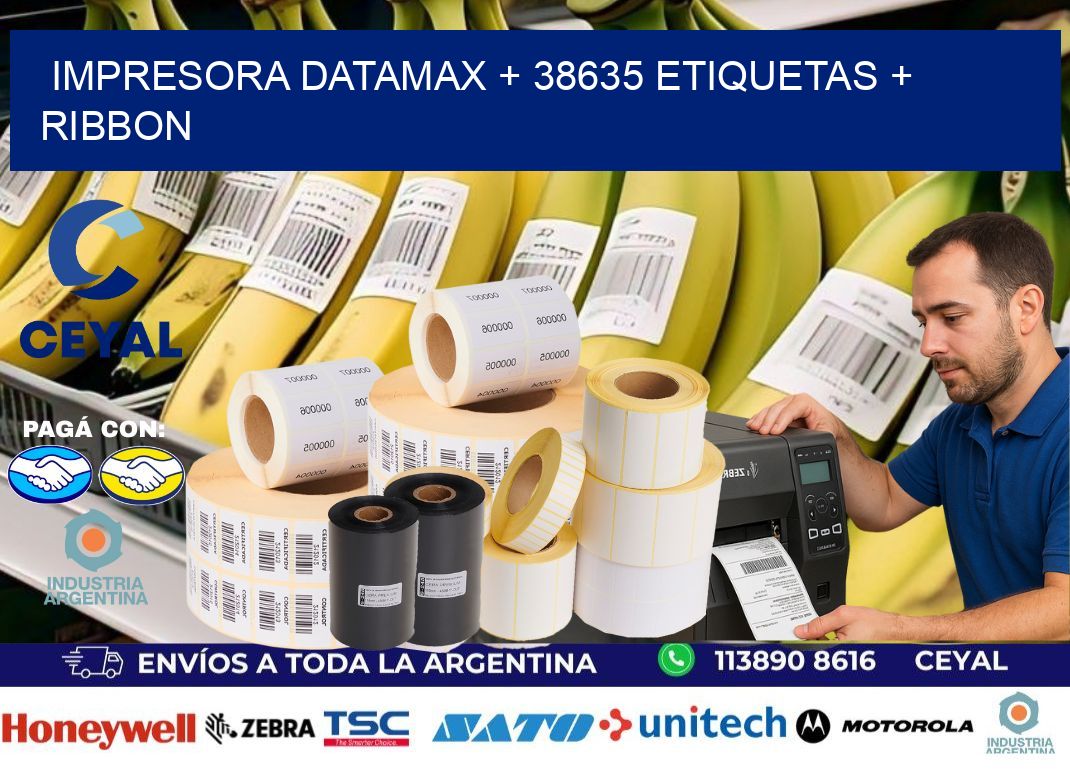 impresora DATAMAX + 38635 etiquetas + ribbon