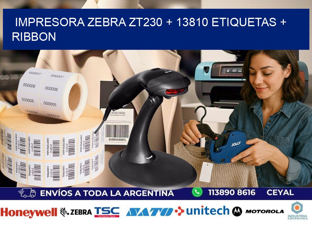 impresora zebra zt230 + 13810 etiquetas + ribbon