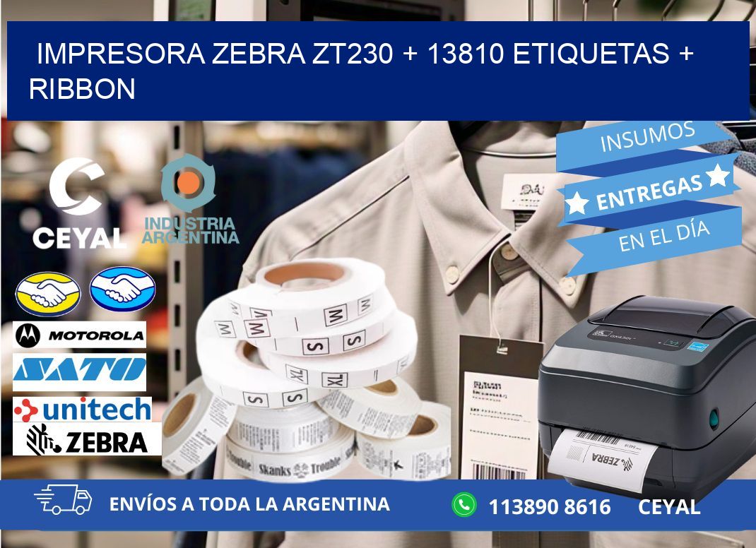 impresora zebra zt230 + 13810 etiquetas + ribbon