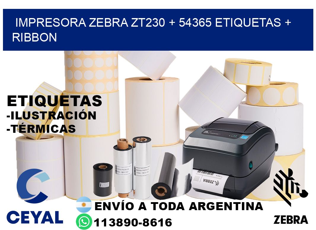 impresora zebra zt230 + 54365 etiquetas + ribbon