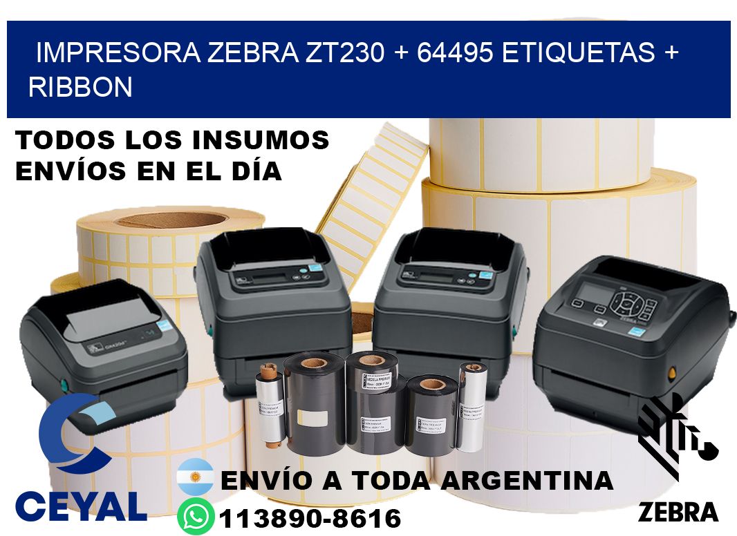impresora zebra zt230 + 64495 etiquetas + ribbon