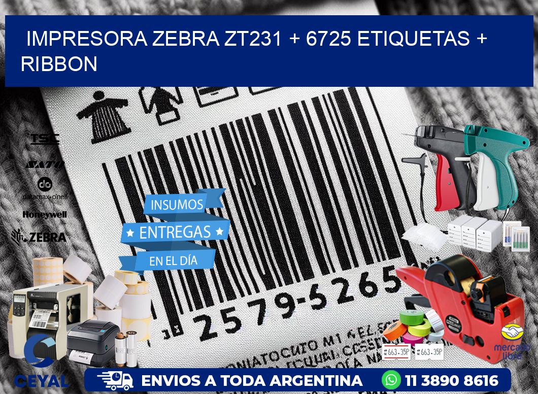 impresora zebra zt231 + 6725 etiquetas + ribbon