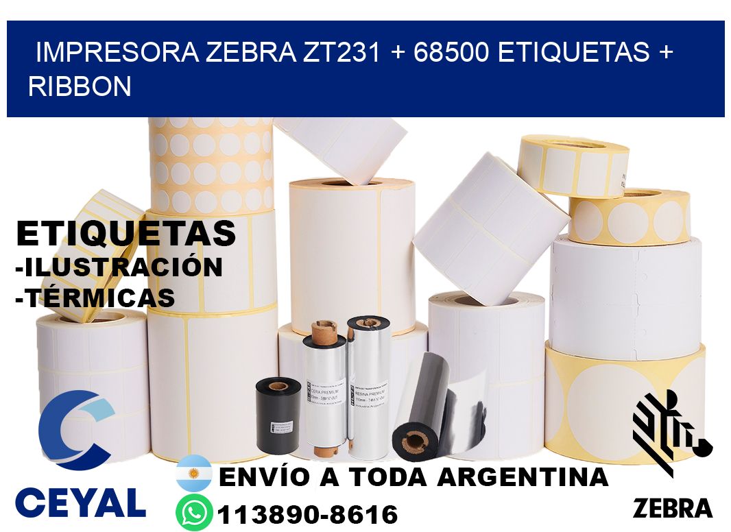 impresora zebra zt231 + 68500 etiquetas + ribbon