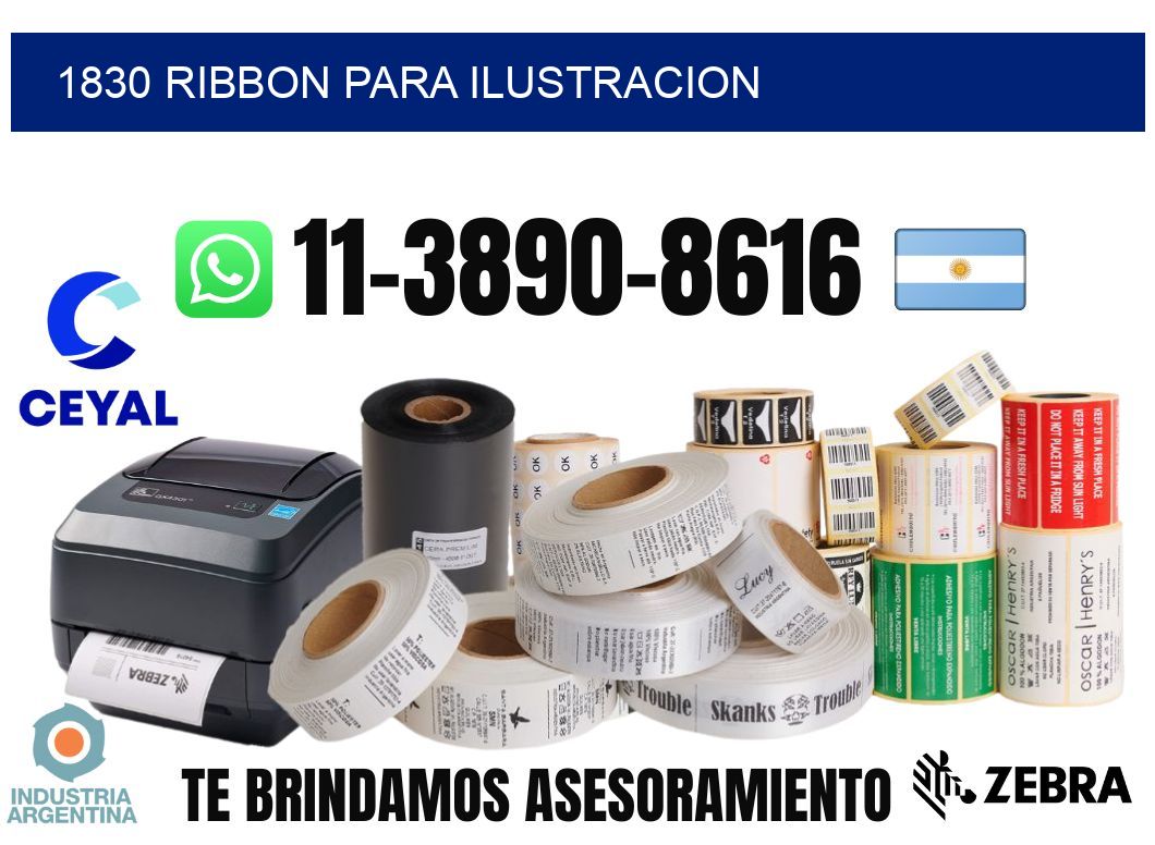 1830 ribbon para ilustracion