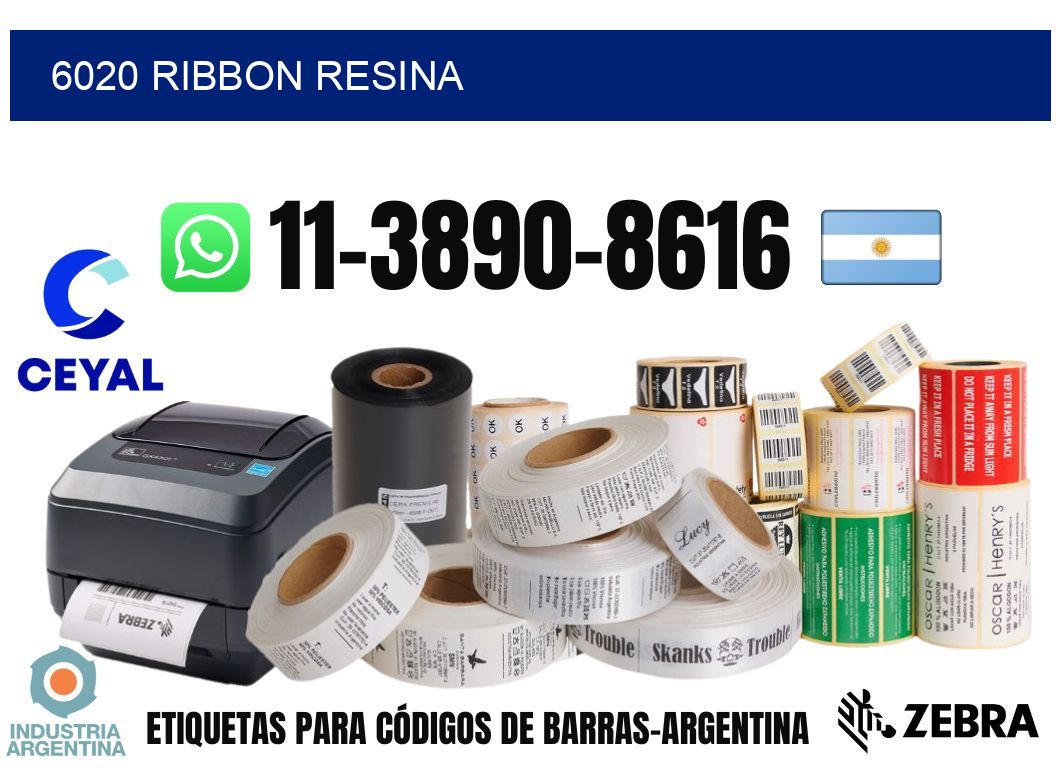6020 ribbon resina