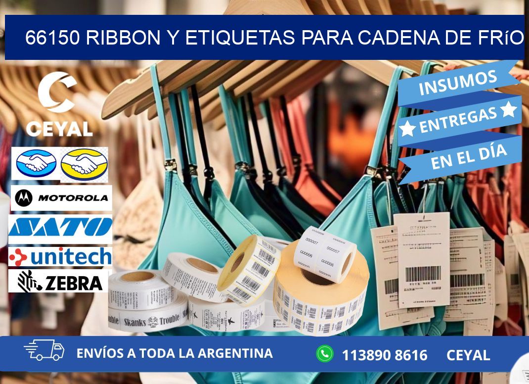 66150 ribbon y etiquetas para cadena de frío
