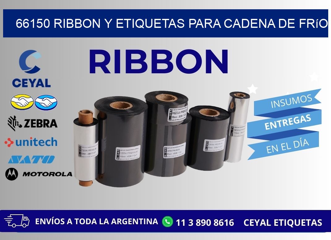 66150 ribbon y etiquetas para cadena de frío