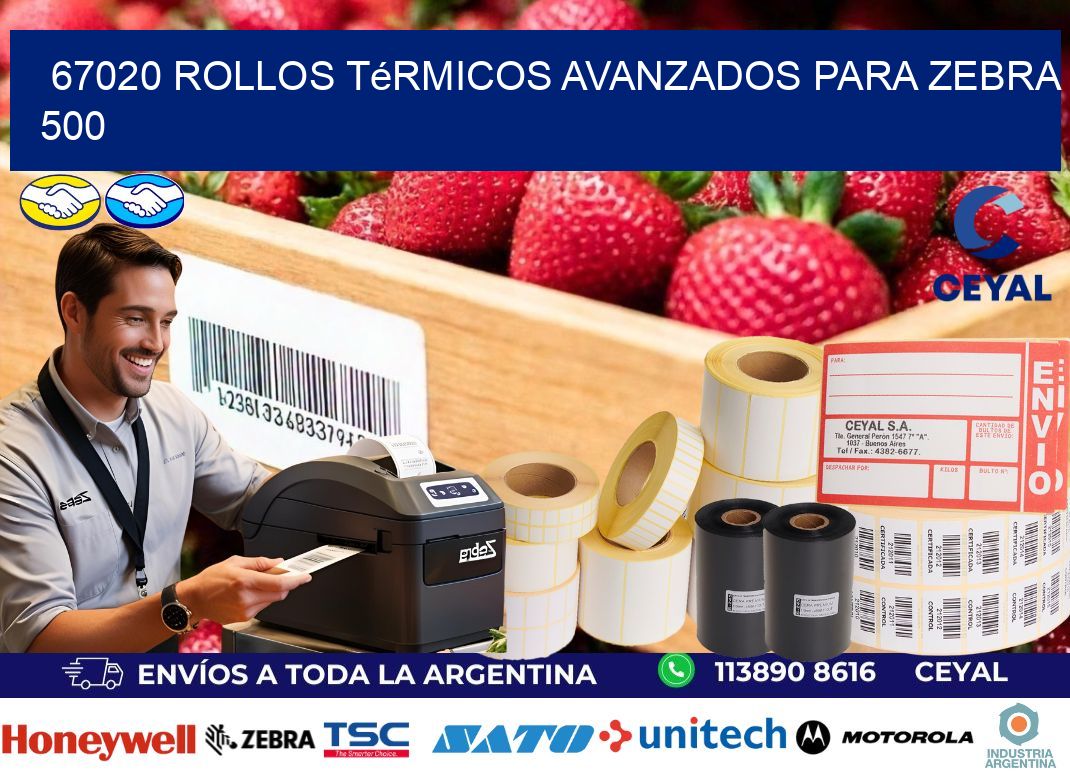 67020 rollos térmicos avanzados para zebra 500