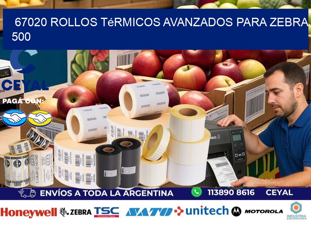 67020 rollos térmicos avanzados para zebra 500