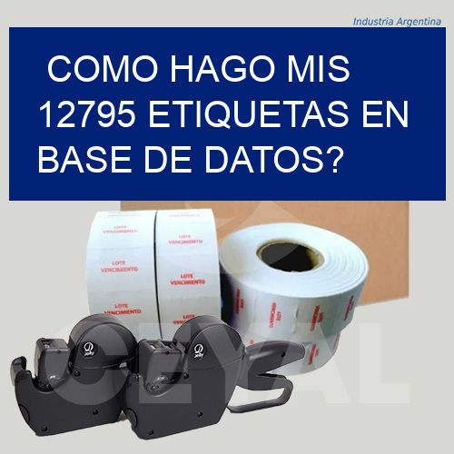 como hago mis 12795 etiquetas en base de datos?