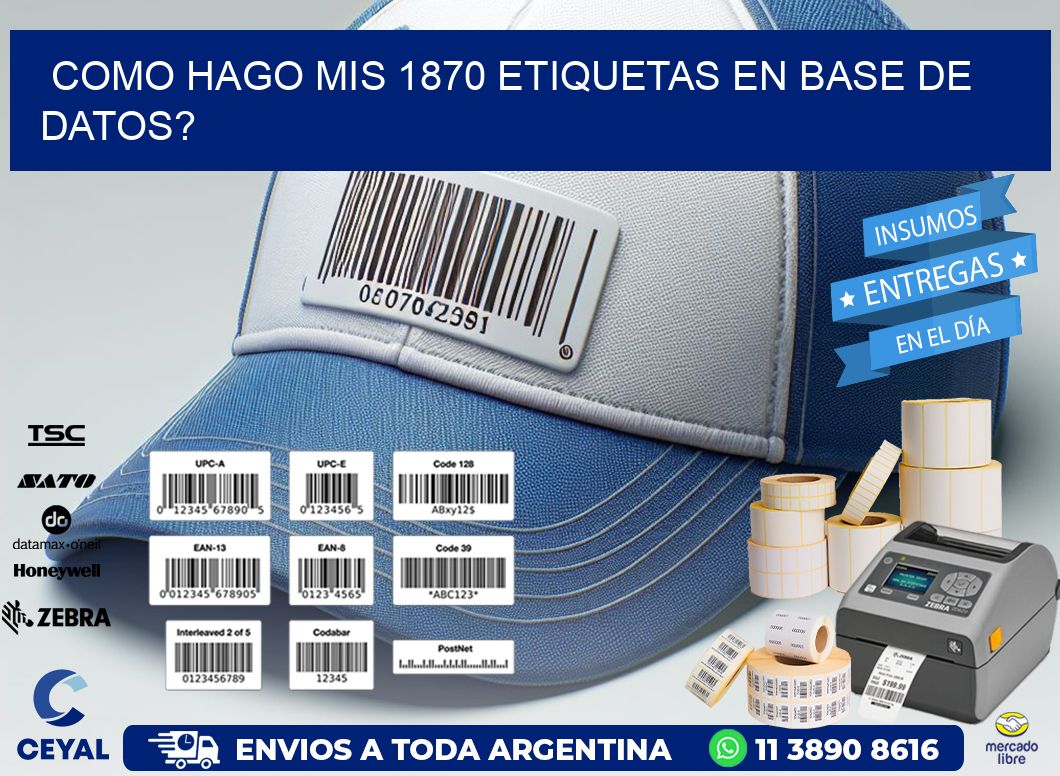 como hago mis 1870 etiquetas en base de datos?