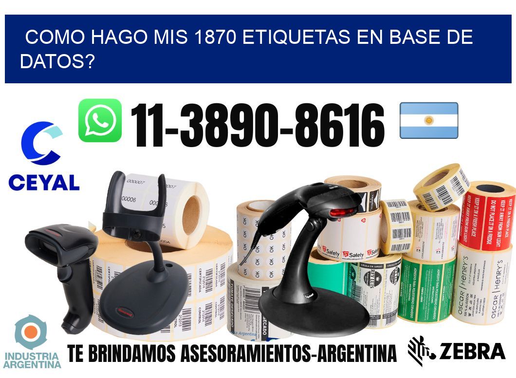 como hago mis 1870 etiquetas en base de datos?