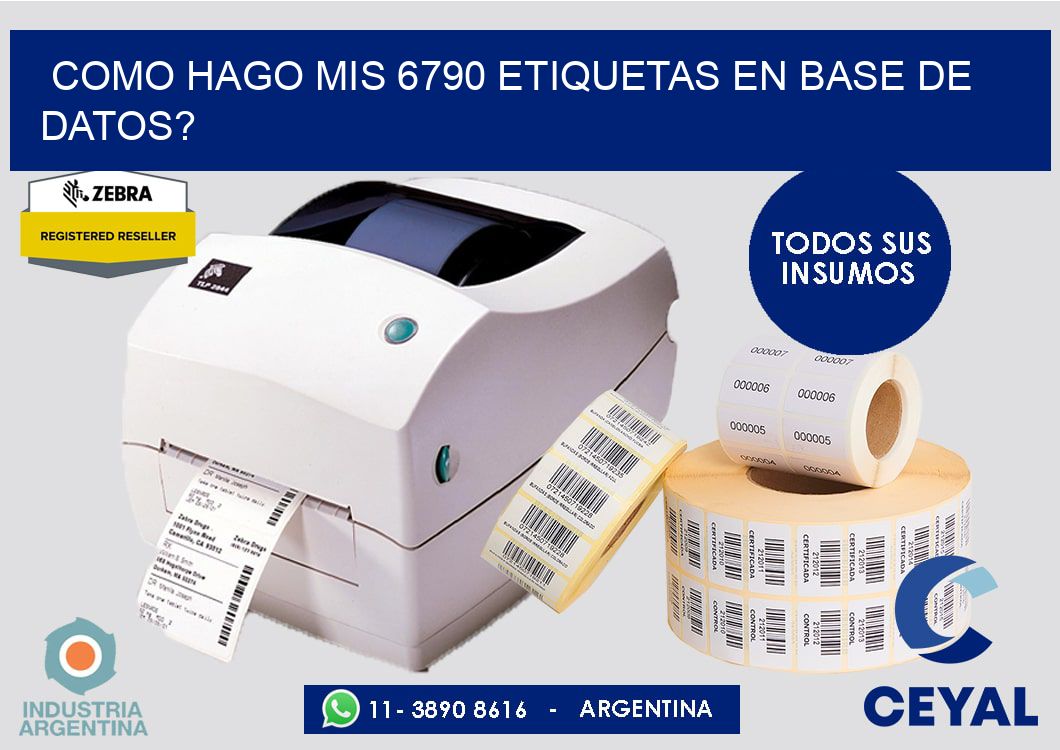 como hago mis 6790 etiquetas en base de datos?