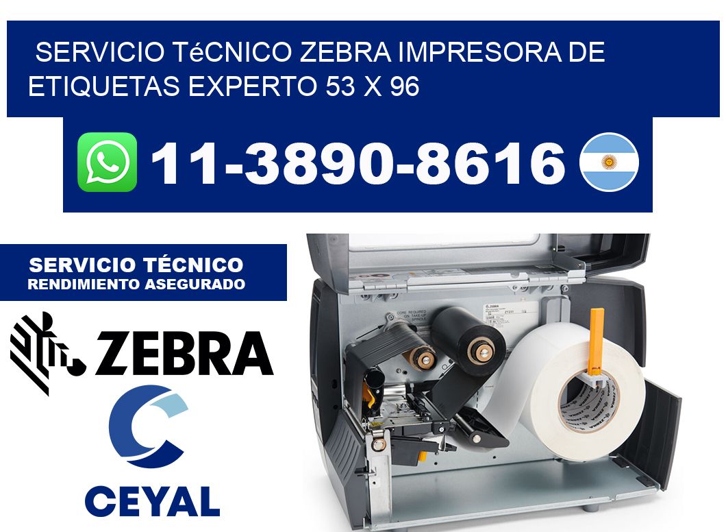 Servicio Técnico Zebra Impresora de Etiquetas Experto 53 x 96