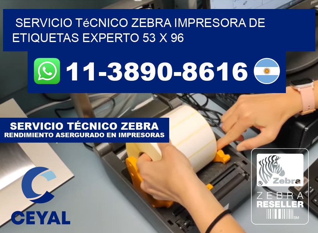 Servicio Técnico Zebra Impresora de Etiquetas Experto 53 x 96