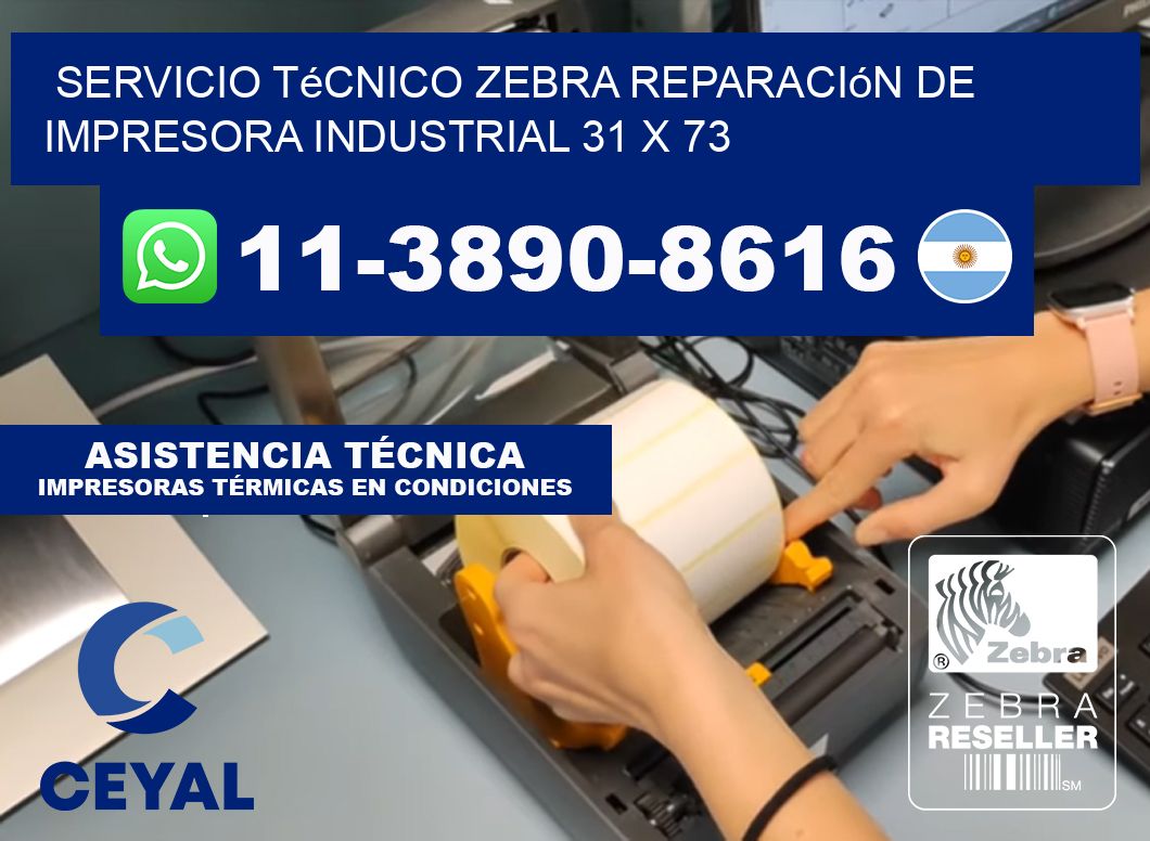 Servicio Técnico Zebra Reparación de Impresora Industrial 31 x 73