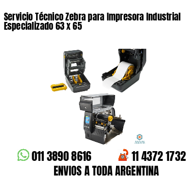 Servicio Técnico Zebra para Impresora Industrial Especializado 63 x 65