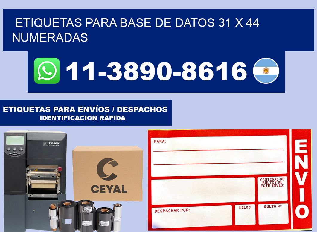 etiquetas para base de datos 31 x 44 numeradas