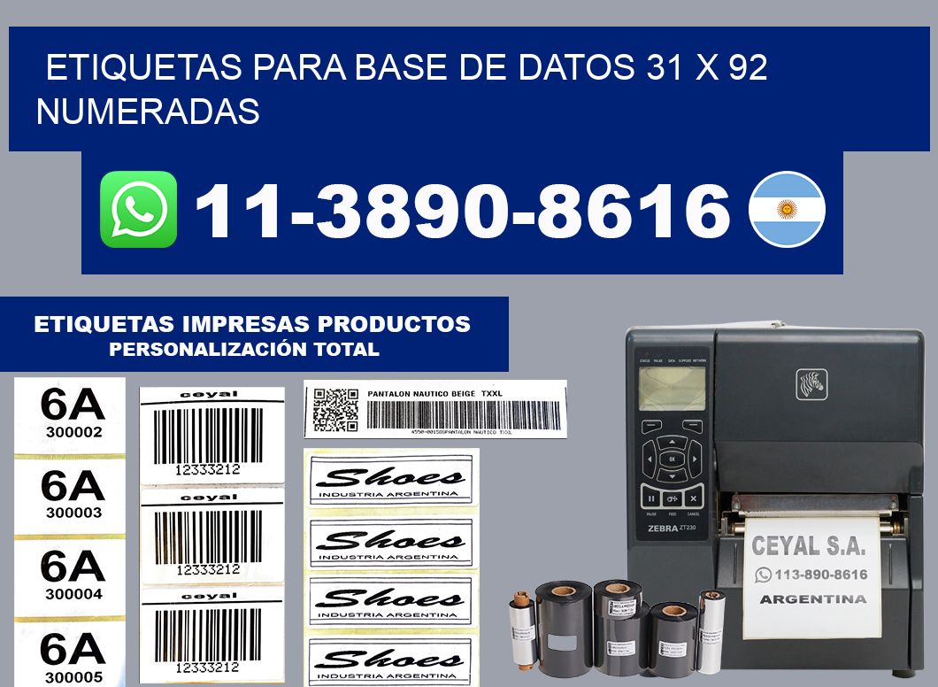 etiquetas para base de datos 31 x 92 numeradas