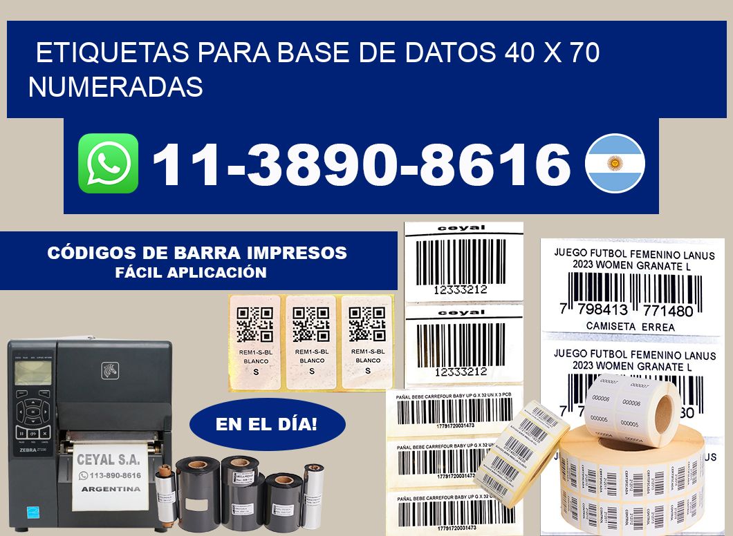 etiquetas para base de datos 40 x 70 numeradas